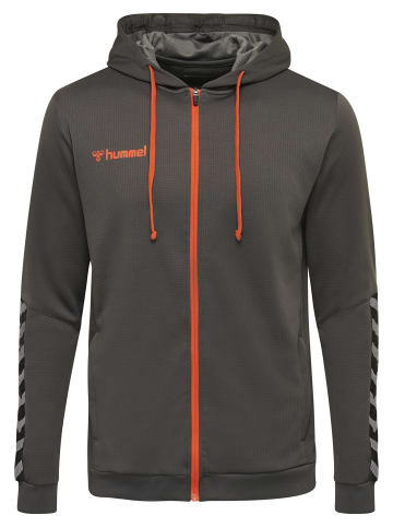 Hummel Hummel Hoodie Hmlauthentic Multisport Herren in ASPHALT