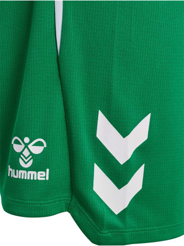 Hummel Sportshorts "Lead 2.0 Shorts" in Multicolor
