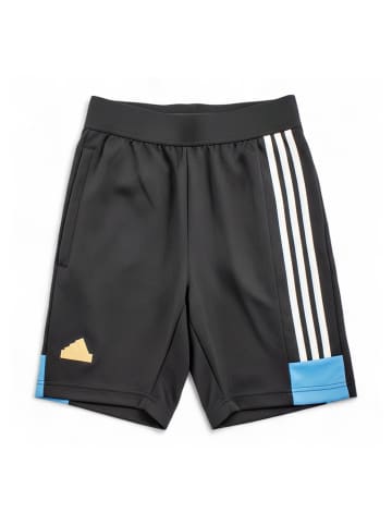 adidas Shorts NTPK House of Tiro Nations Pack in Schwarz