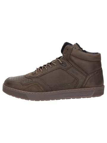 Sioux Stiefelette Tedroso-705 in dunkelbraun