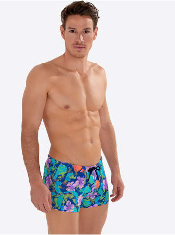 HOM Badehose Balata Swim Shorts in navy print