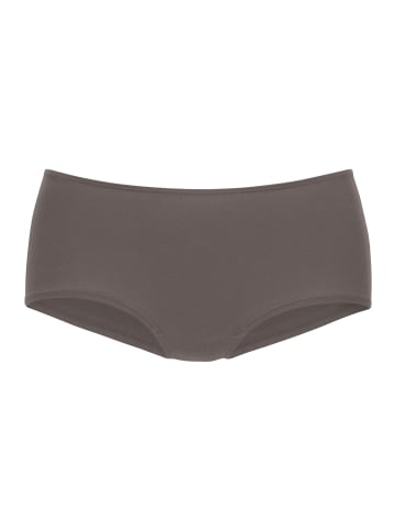 Vivance Panty in braun, weiß, grau, puder, schwarz, rosa