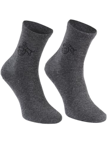 Fußballverein 1. FC Köln Socke "Businesssocke Anthrazit 2er Pack" in Grau