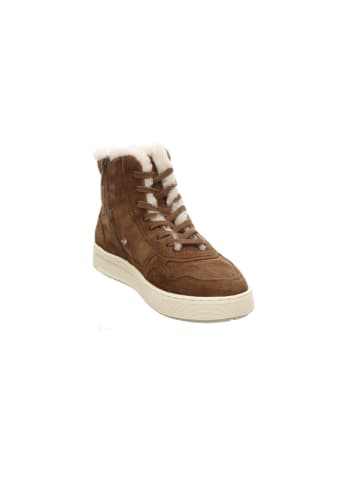 Sioux Sneaker Low in braun
