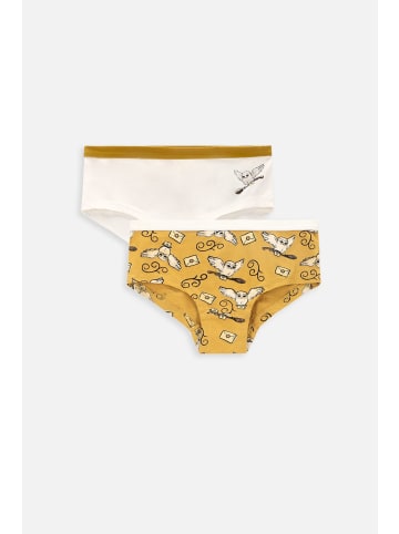 Coccodrillo Unterhose für Mädchen in bunt