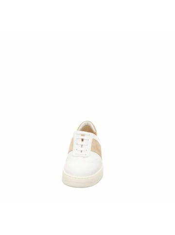 Truman's Sneaker in weiß