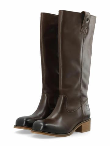 Cashott Stiefel CASVILMA in Dark Brown