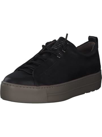 Paul Green Sneakers Low in Schwarz/Fango