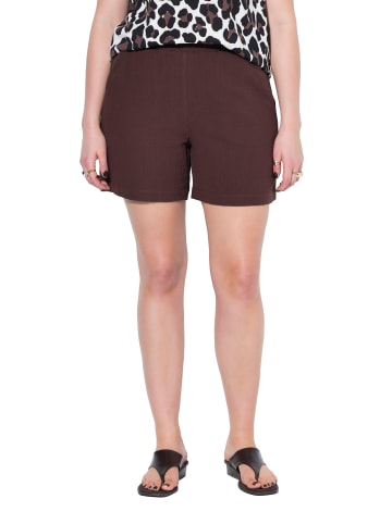 Studio Untold Shorts in schokolade