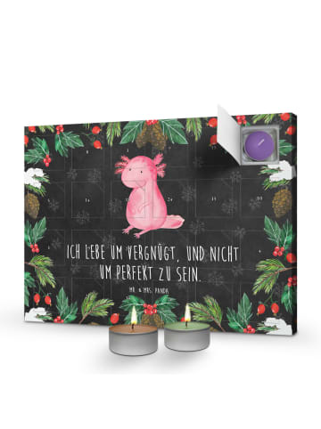 Mr. & Mrs. Panda Adventskalender Axolotl Niedlich mit Spruch in Kreidetafel