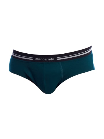 Abanderado Slip in Green