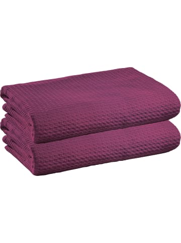 Erwin Müller Baumwolle Sommer-Decke 2er-Pack Siena in beere