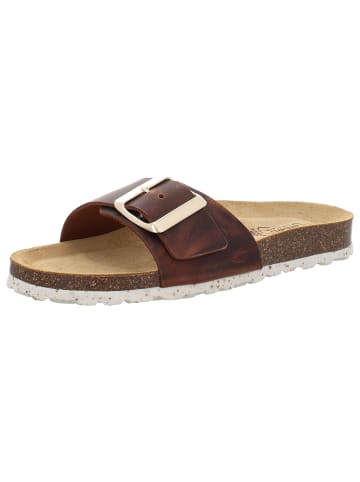 Camel Active Pantoletten in braun