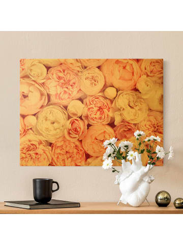 WALLART Leinwandbild Gold - Rosen Rosé Koralle Shabby in Pastell
