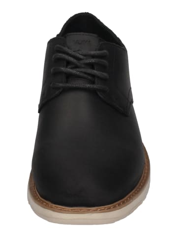 TOMS Schnürschuhe NAVI 10016902 in schwarz