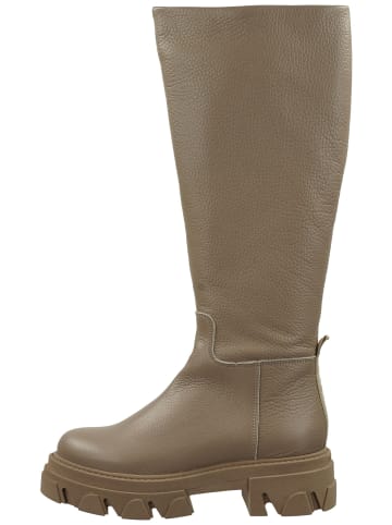 Steve Madden Stiefel in Grau