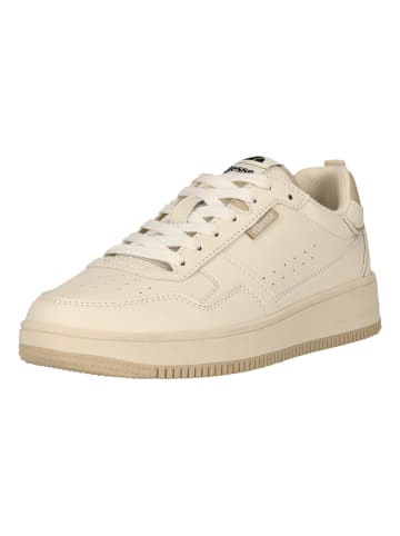 ellesse Sneaker Gavin in 672ELS Off White Frost