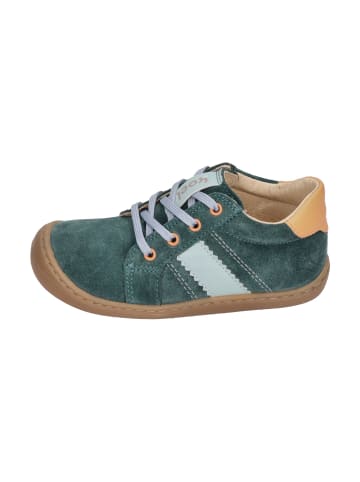 KOEL Sneaker Low BLAKE SUEDE in türkis