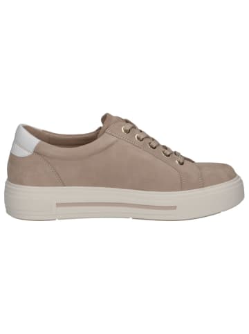 Caprice Sneaker in SAND SUEDE