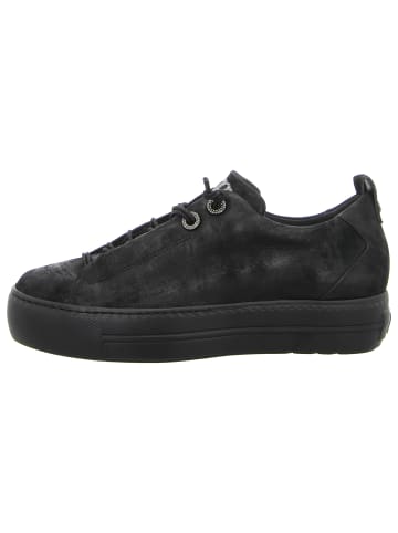 Paul Green Schnürschuh in schwarz