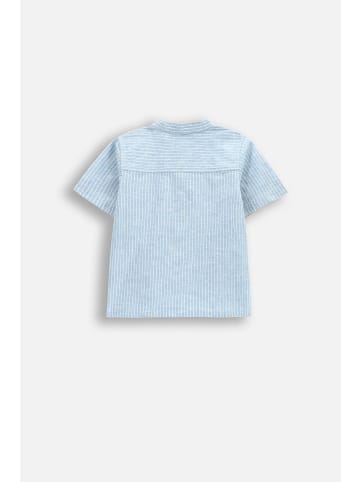 Coccodrillo Kurzarmhemd in blau