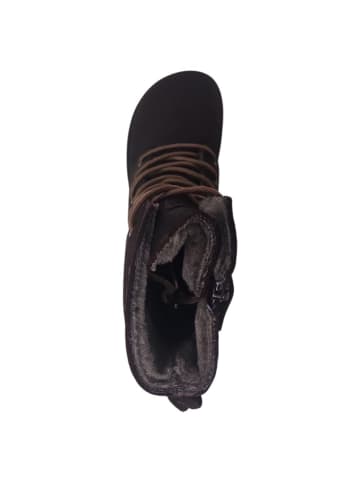 KOEL Barfußschuhe Faro in Braun