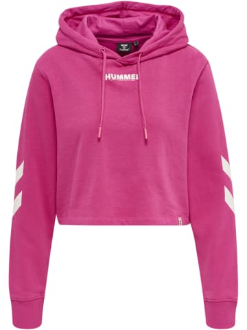 Hummel Hoodie Hmllegacy Woman Cropped Hoodie in RASPBERRY ROSE