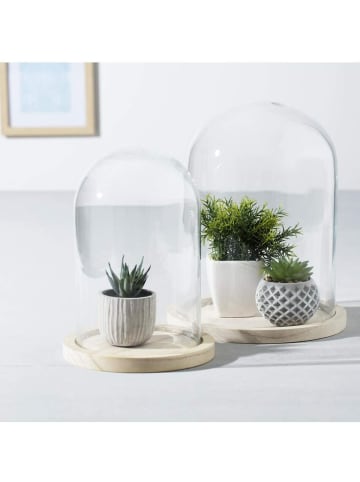 Atmosphera Créateur d'intérieur Deko-Glaskuppel in transparent
