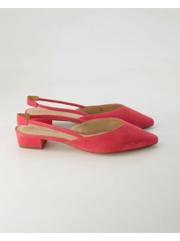 PETER KAISER Slingpumps in Pink
