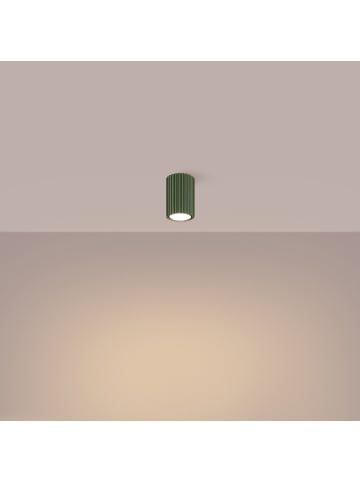 Licht-Erlebnisse Deckenlampe Ø 6.5 x (H)10 cm in Olivgrün