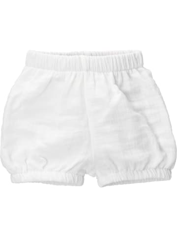 Baby Sweets Babyshorts Bruno der Eisbär in weiss