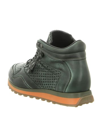 Cetti Sportliche Schnürschuhe in Grün
