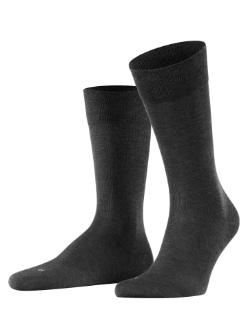 Falke Socken Sensetiv Malaga in Anthracite