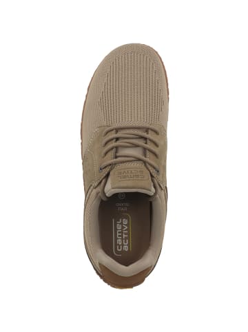 Camel Active Sneaker low 54ILA18 in hellbraun