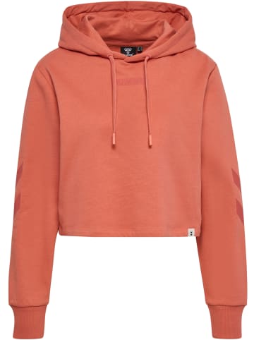 Hummel Hoodie Hmllegacy Woman Cropped Hoodie in APRICOT BRANDY