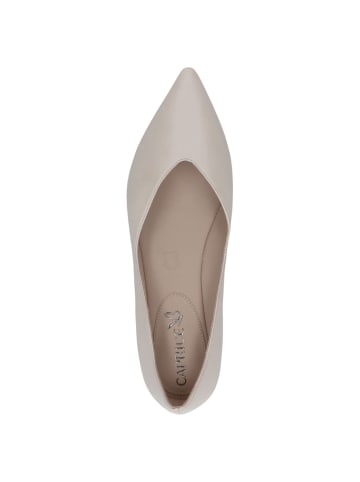 Caprice Ballerina in CREAM PERLATO
