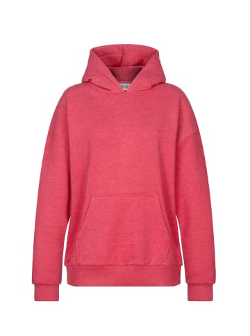 naketano Oversize-Hoody Big Ina 20 Purple Melange