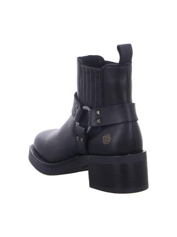 Apple of Eden Westernstiefeletten in Schwarz