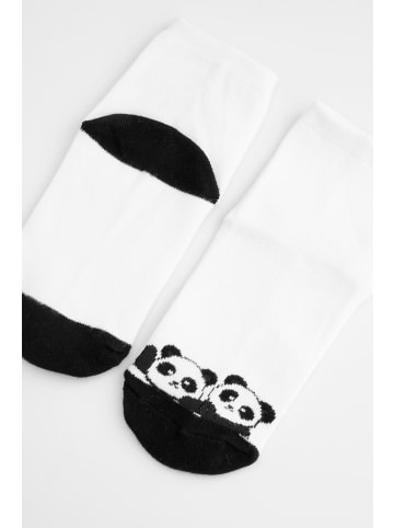 Coccodrillo Socken in bunt