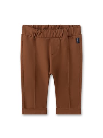 Sanetta Webhose in Braun