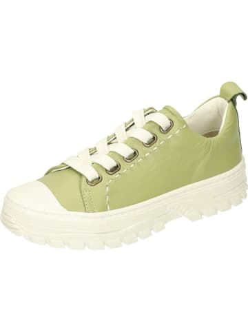 Piazza Sneakers Low in avocado