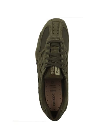 Geox Sneaker low U Snake Original in dunkelgruen
