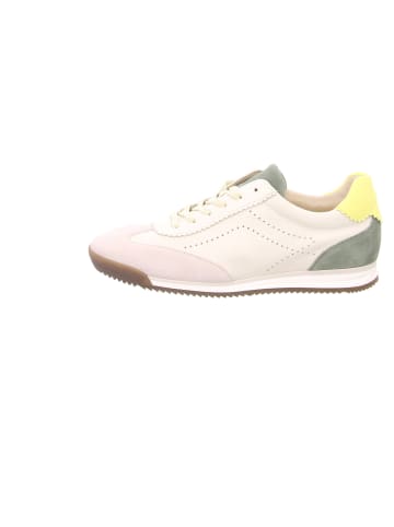 Gabor Sneaker für Damen in Bunt