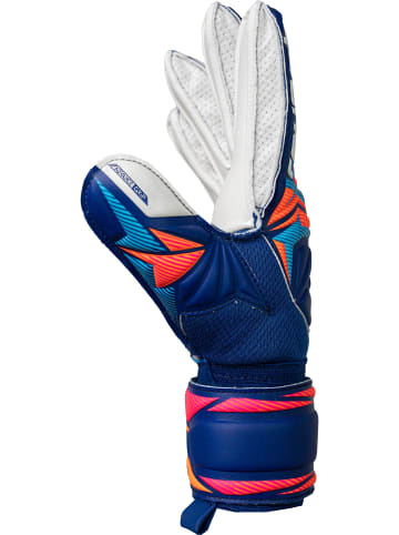Reusch Torwarthandschuhe Attrakt Advance Junior in 4126 sharp blu/wht/shock orng