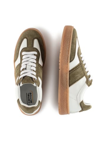Camel Active Sneaker aus Leder in Grün