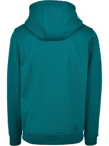 STARTER STARTER Herren Starter Small Logo Hoody in retro green
