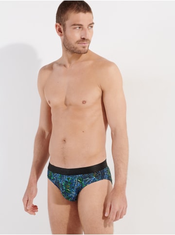 HOM Minislip Jarrod in blue print