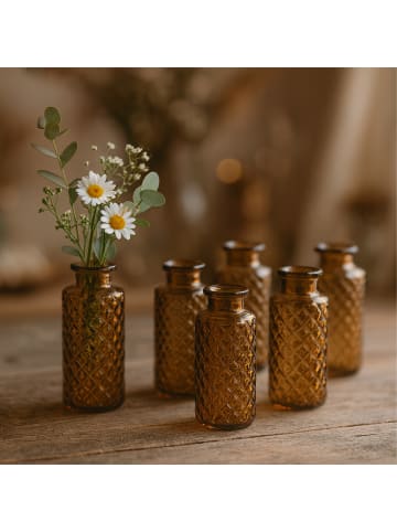 relaxdays 6 x Vasen in Braun