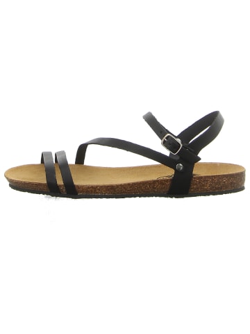 Plakton Riemchensandalette in schwarz