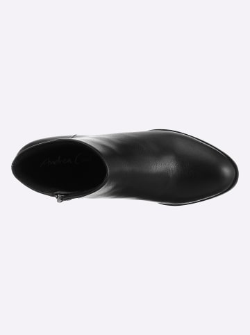 Andrea Conti Kurzstiefelette in schwarz